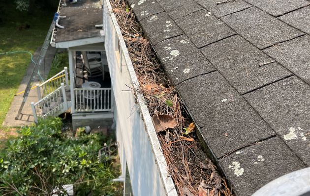 before gutter