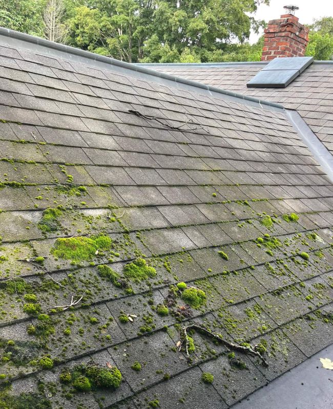 Before roof washing